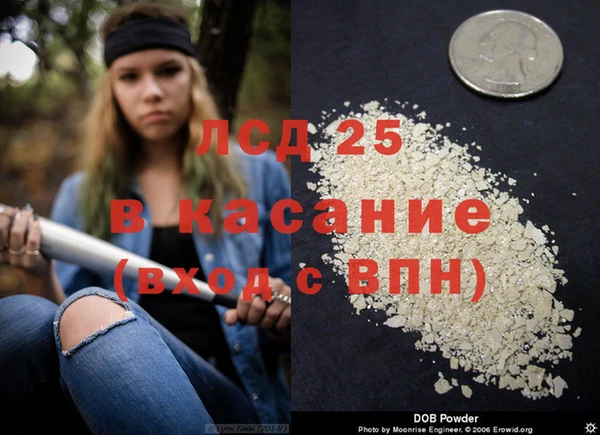 индика Алексеевка