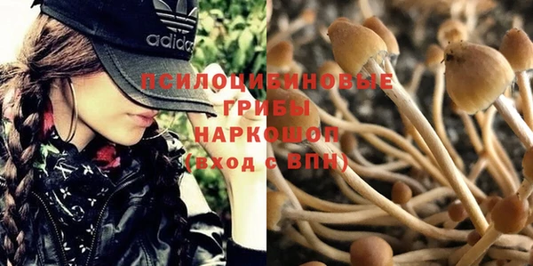 мескалин Алексин