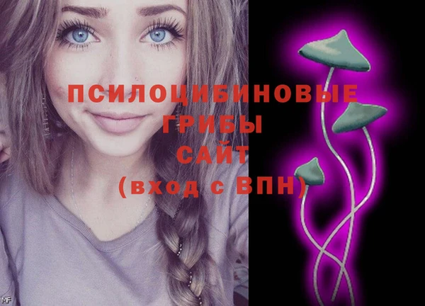 spice Алзамай