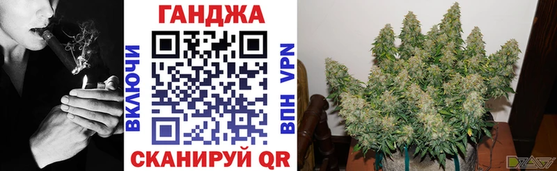 кракен как войти Ессентукская Канабис VHQ как найти наркотики